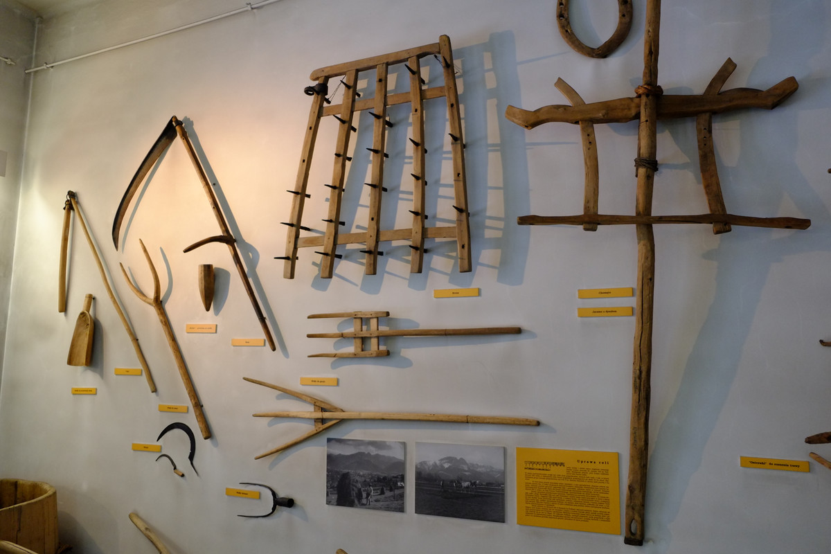 06.12 - DSCF6349 (Brunhilda)