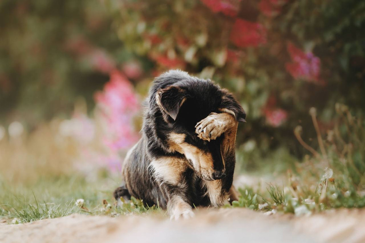 photo_2023-09-26_22-09-27