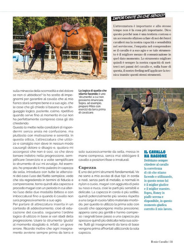 Il Mio Cav (Feb 2022) 8