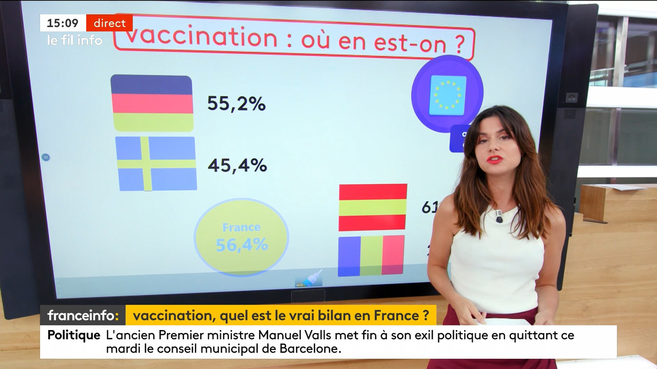 08.31 - 12.59.00 - Le 14h-17h. Au sommaire   Vrai ou fake. - francein..._001.ts_snapshot_00.09.27.95