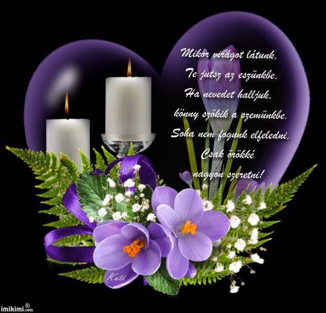 10645012_583450651755352_9219830826982359388_n