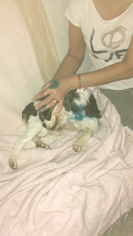 7E40C20C-ECBE-4428-9288-93D62ED06518