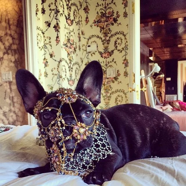 6-18-14-Instagram-003.webp