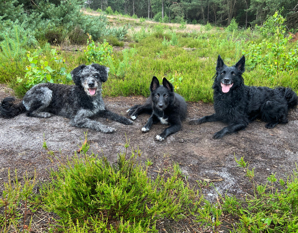 7844C7FC-556A-455B-AC22-B7F9401EB13E