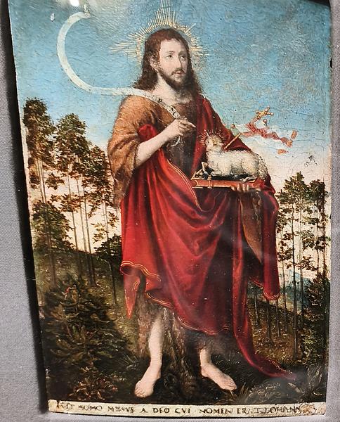 Milán-Turín-Génova-Pavía - Blogs de Italia - Pavía: la famosa batalla y sus torres medievales (140)