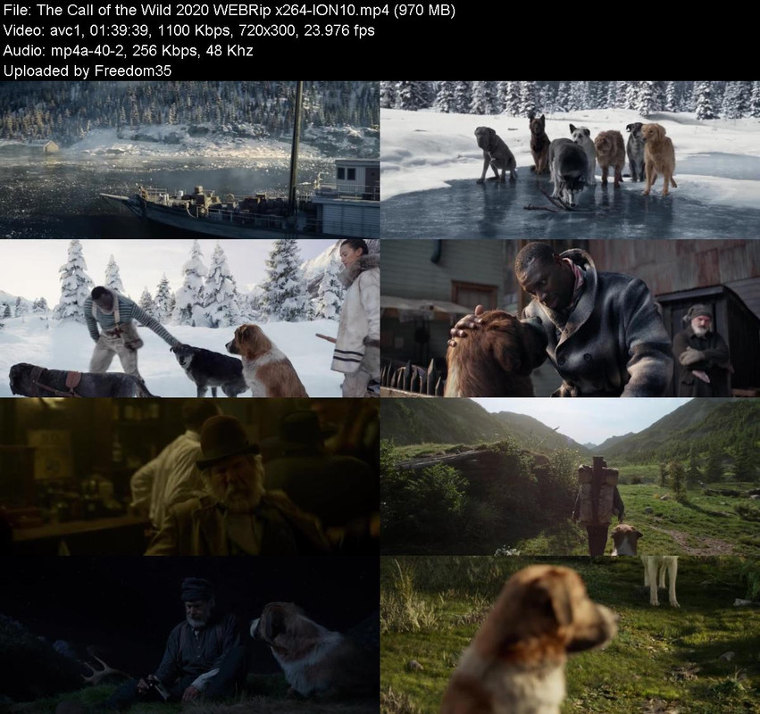The-Call-of-the-Wild-2020-WEBRip-x264-IO
