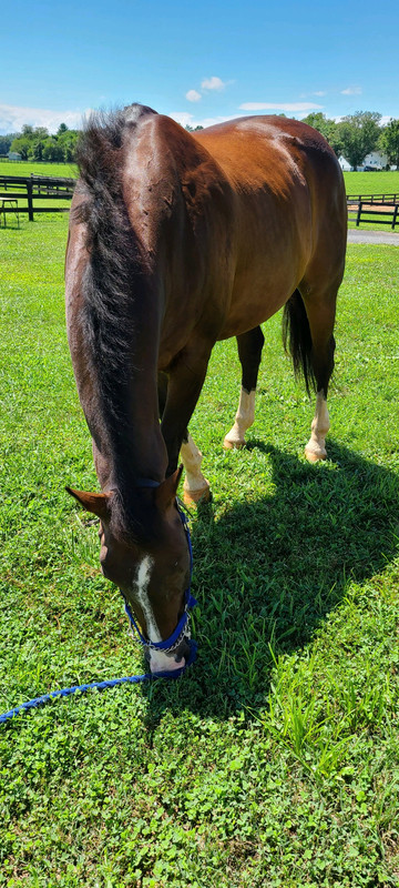 9C6E079B-91CC-4CD6-9E40-8C56F72642C5