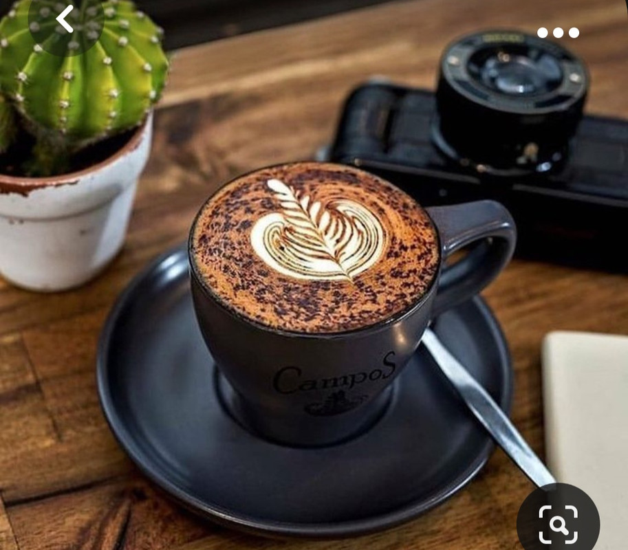 Screenshot_20231008_214951_Pinterest