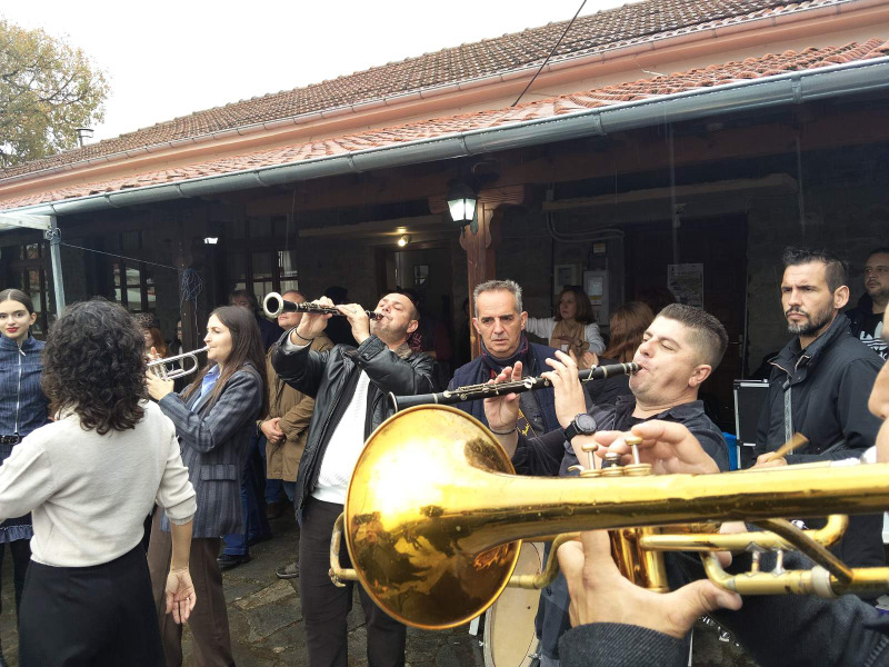 Voiotes gournhara 04