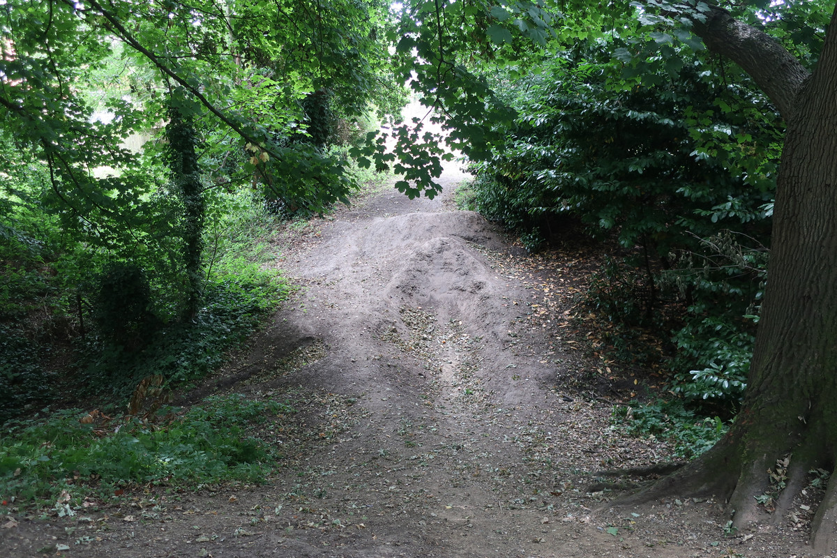 IMG_2010