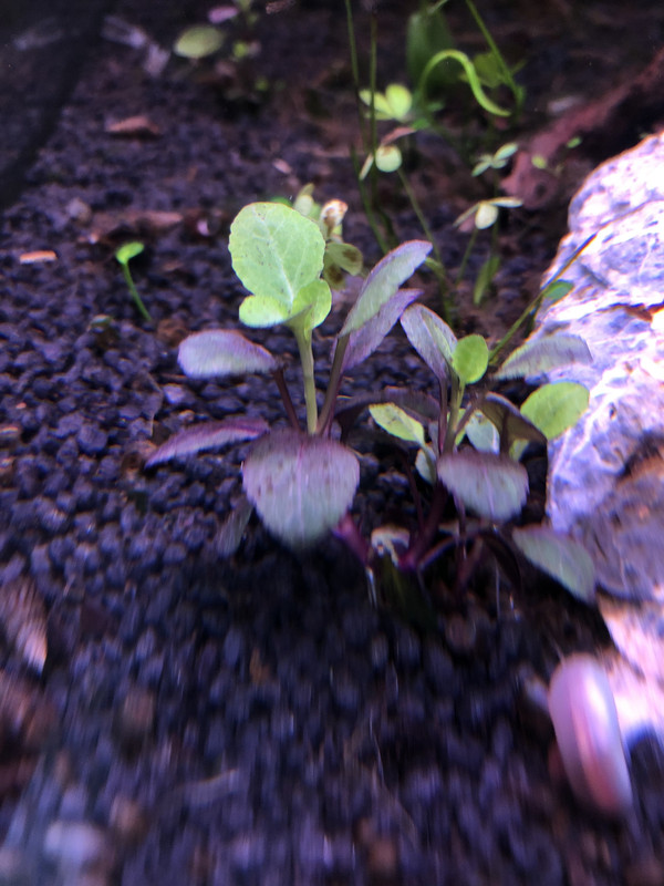 6AB75EE1-7C39-4366-B72D-13A001584ED3