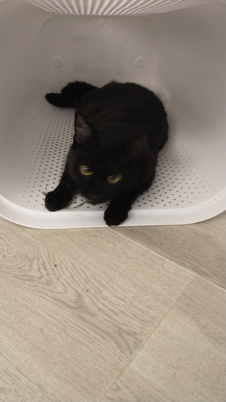 IMG 20251118 202036737