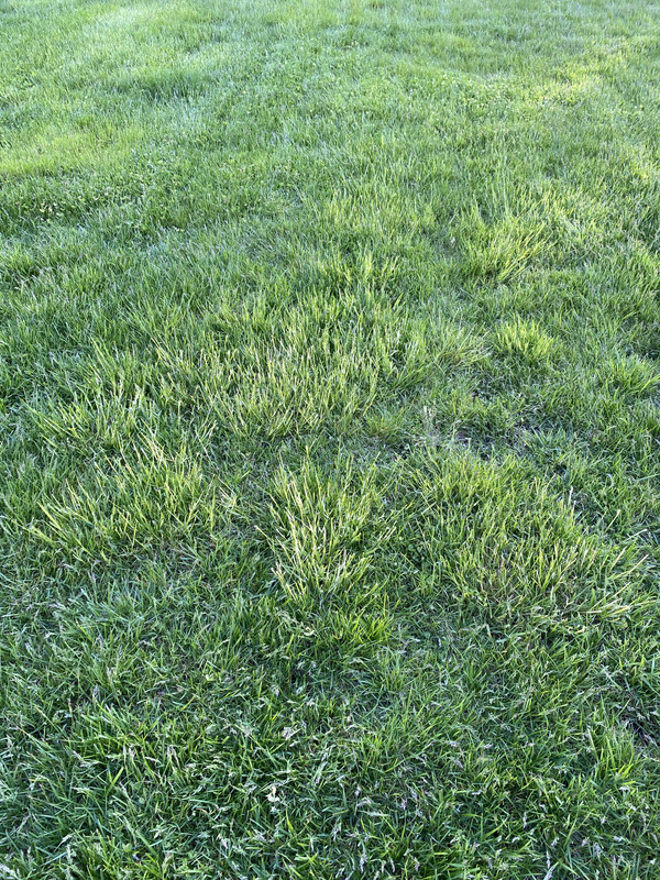 FF82238A-286D-4623-85F3-B1649F997D9F