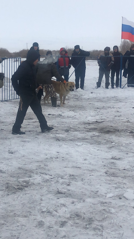 FFE2EB49-DD5E-42AC-981F-576264468D8B