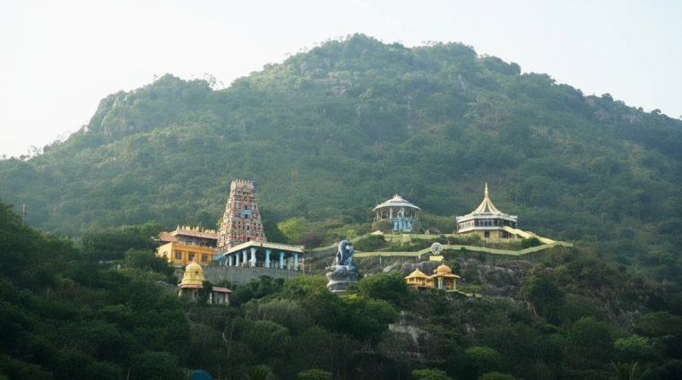 Festivals Celebrated at Sri Trikoteswara Swamy Temple