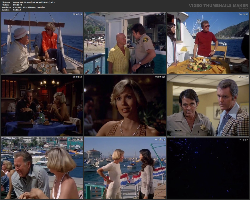 Quincy, M.E. S01e04 (Hot Ice, Cold Hearts).mkv
