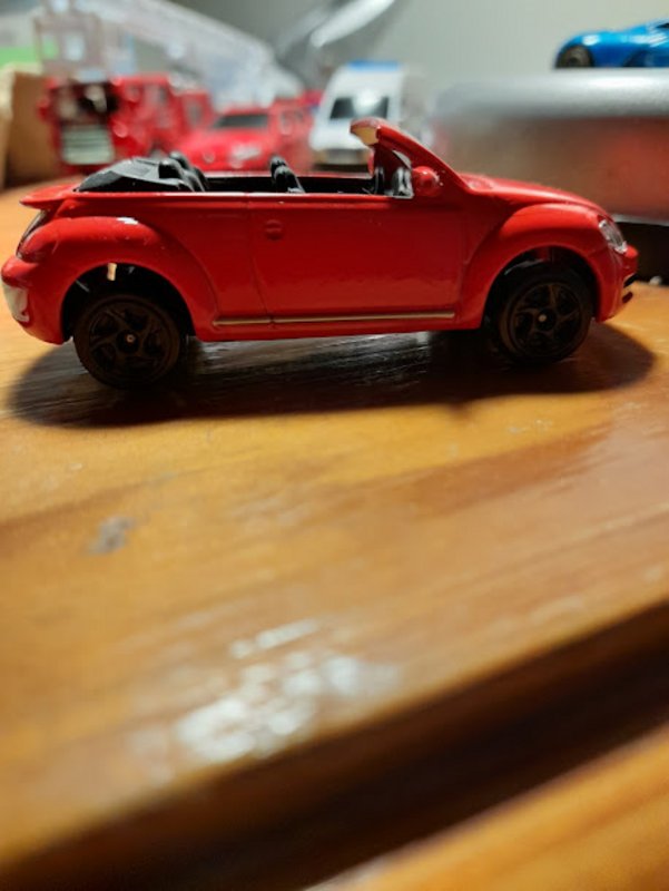 beetle.jpg