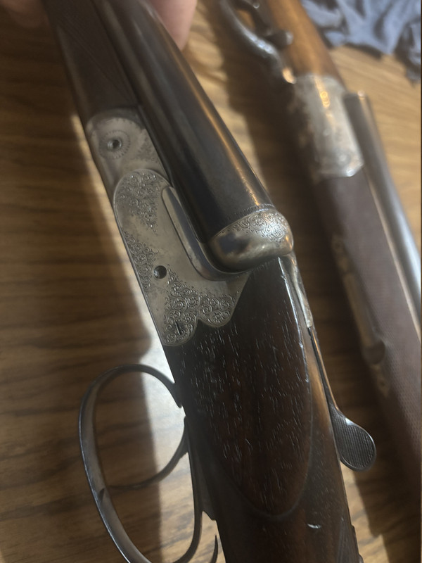 [Linked Image from i.postimg.cc]