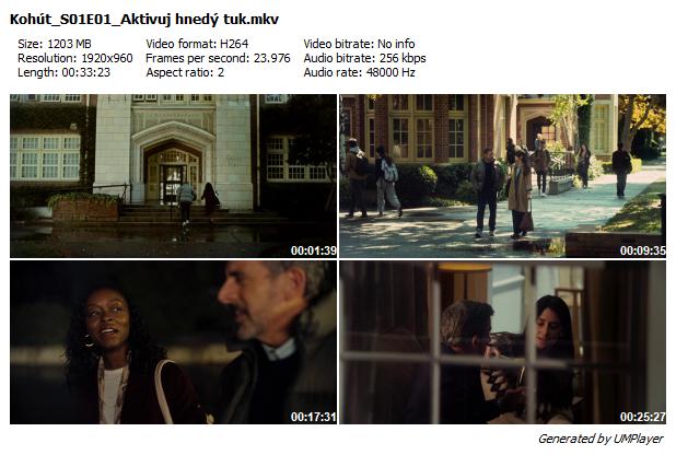 Kohout / Rooster (2026) /S01/CZ/SK/EN