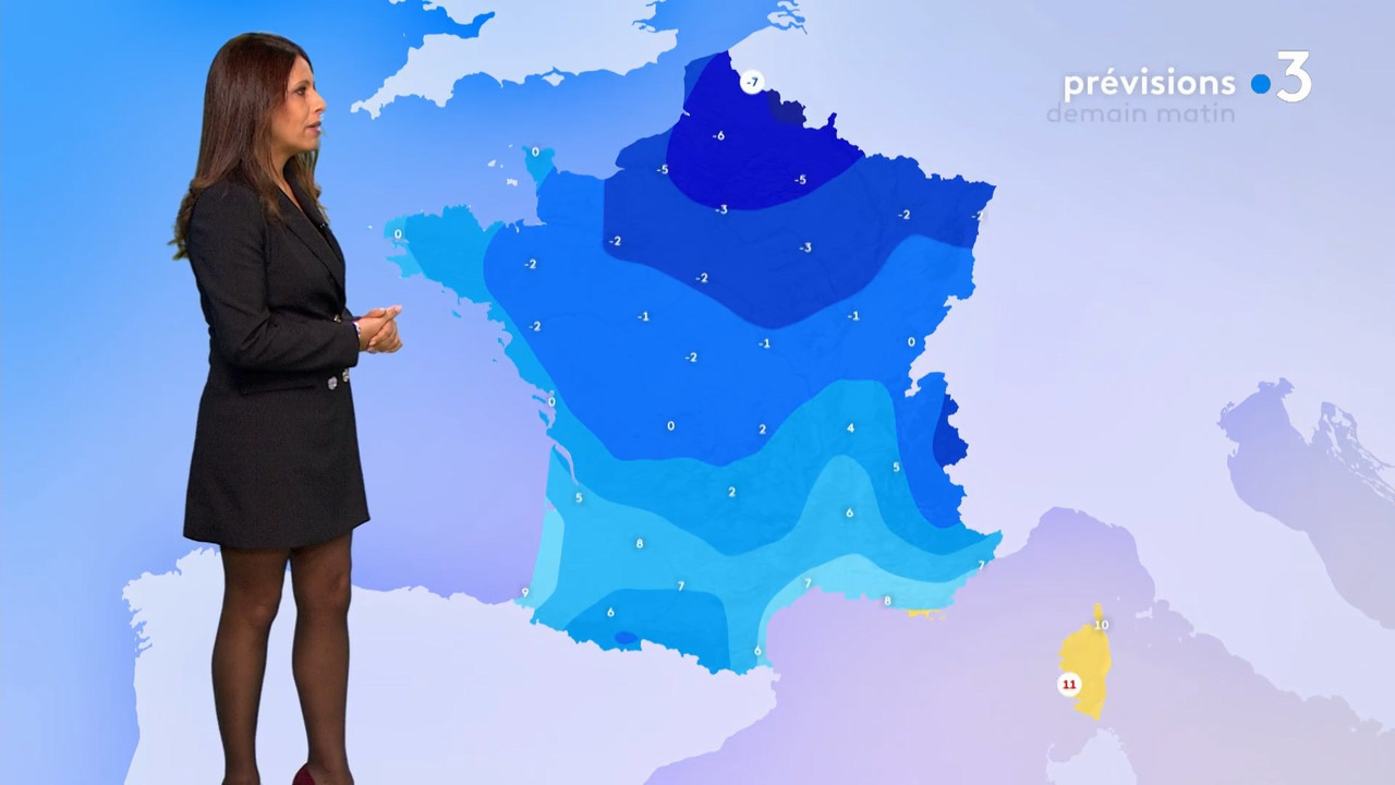 2021-02-08_11_30_Fr3_Meteo.mp4_snapshot_10.25.680