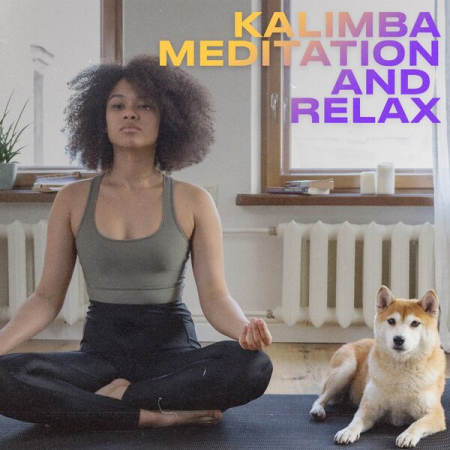 13a3848f e19a 4e6d ba67 78bb0d94ca6c - VA - Kalimba Meditation and Relax Vol 2 (2023)