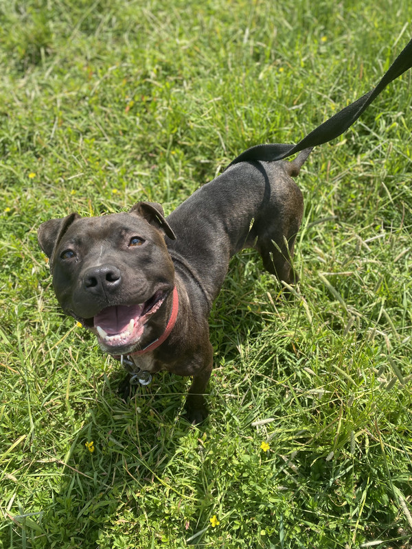 3ACA119C-E1E8-4A4E-93D7-4ABD9EA38D83