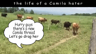 cowparadeoch2.gif