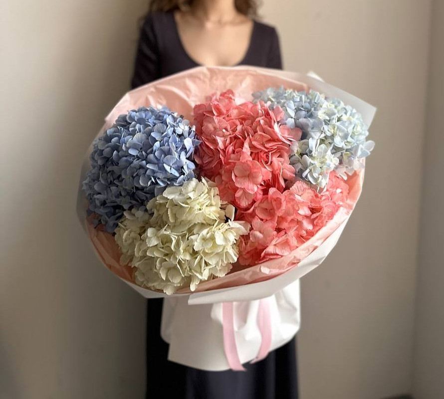 Пышное облако из гортензий