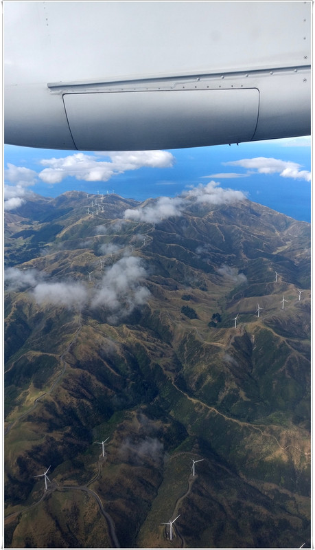 Escapadas y rutas por la Nueva Zelanda menos conocida - Blogs de Nueva Zelanda - Wellington más allá del Te Papa y el Cable Car (31)