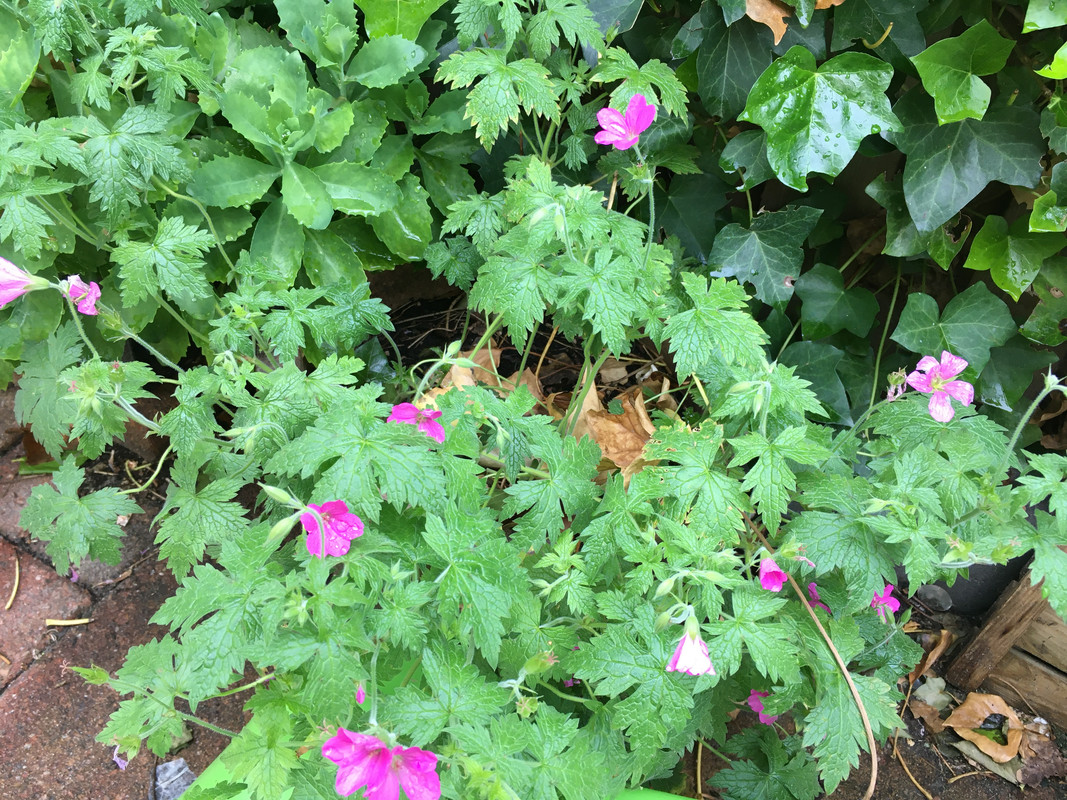 7B143912-FDC5-4A35-B64F-1E77FCFDA14D