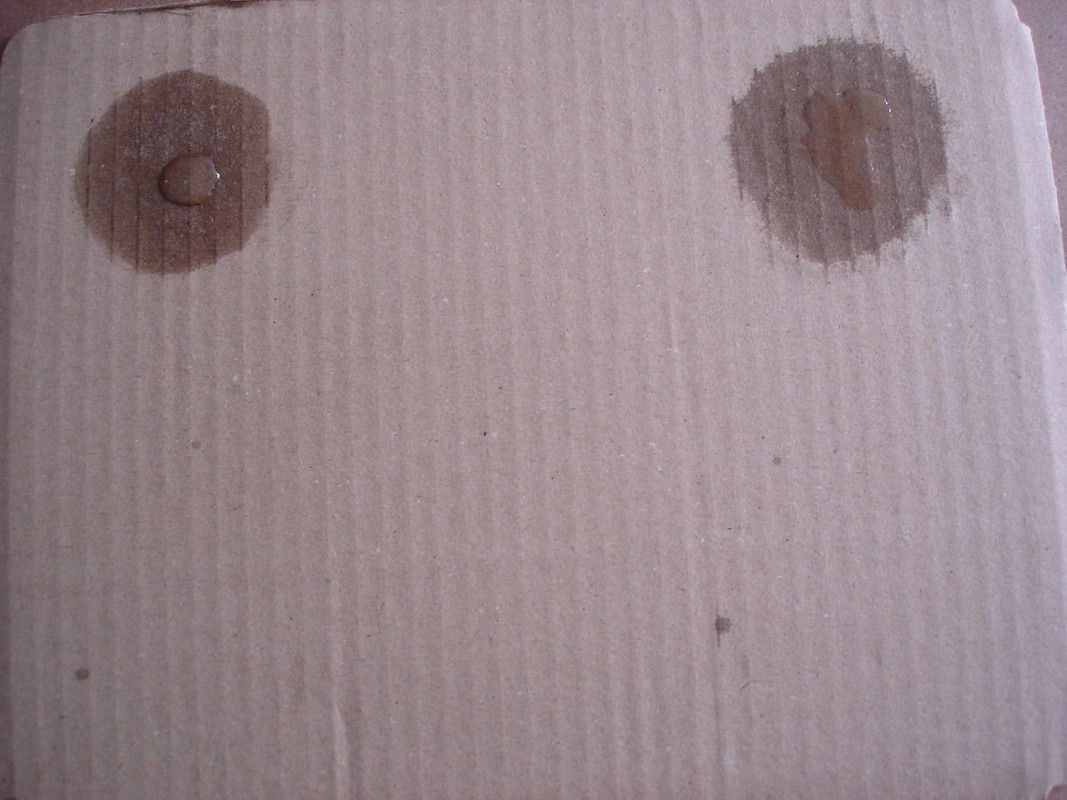DSC04571-1