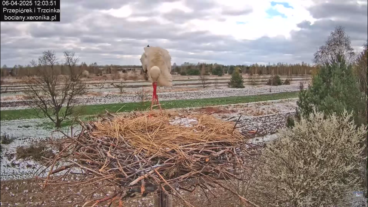 06042025minutazbocianem_11