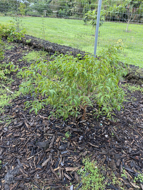 8B0745FB-DD86-47F4-808D-F753F65B469C