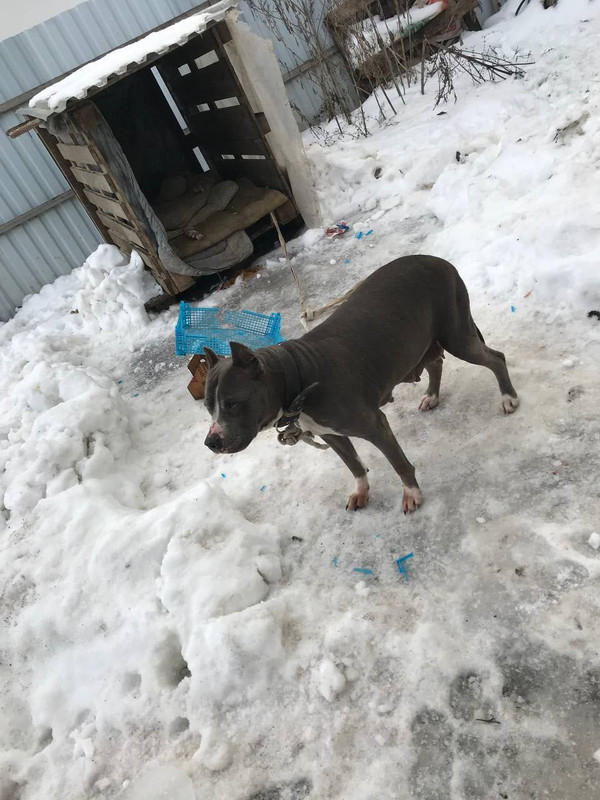 WhatsApp Image 2024-01-26 at 18.24.02 (1)