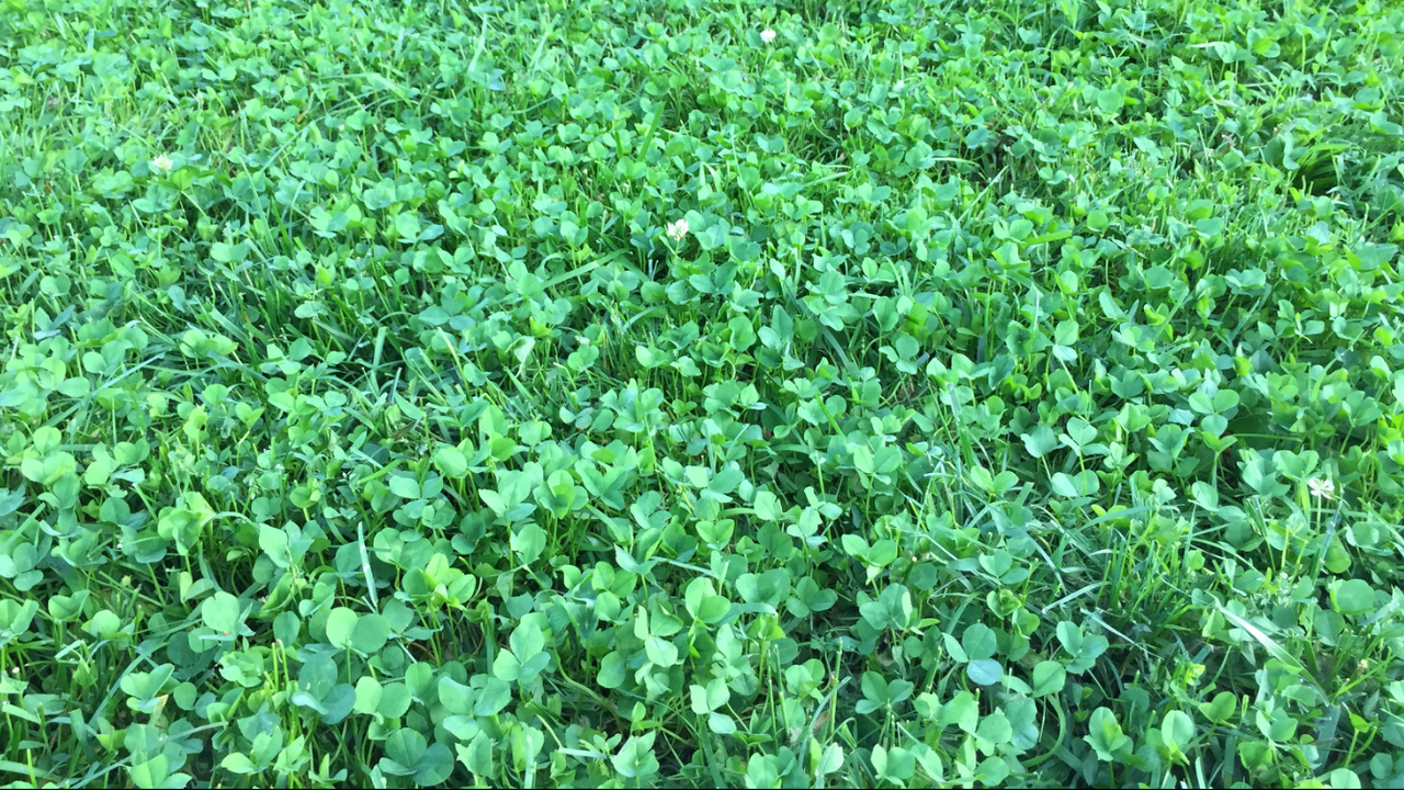 4E324BA0-AD50-4646-A37E-7615A0C55C8B