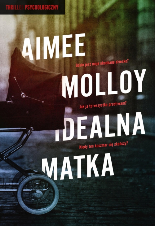 Aimee Molloy - Idealna matka