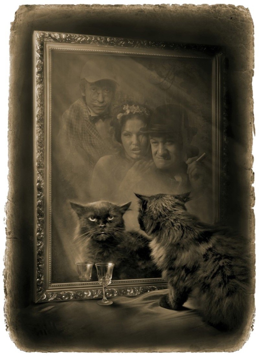 V-zerkale-prosel-zdorovennejsij-cernyj-kot-i-takze-propal-Master-i-Margarita-Fotoillustracii-Ele
