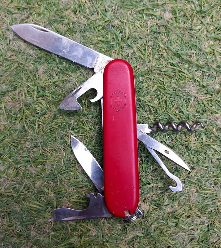 sak.jpg