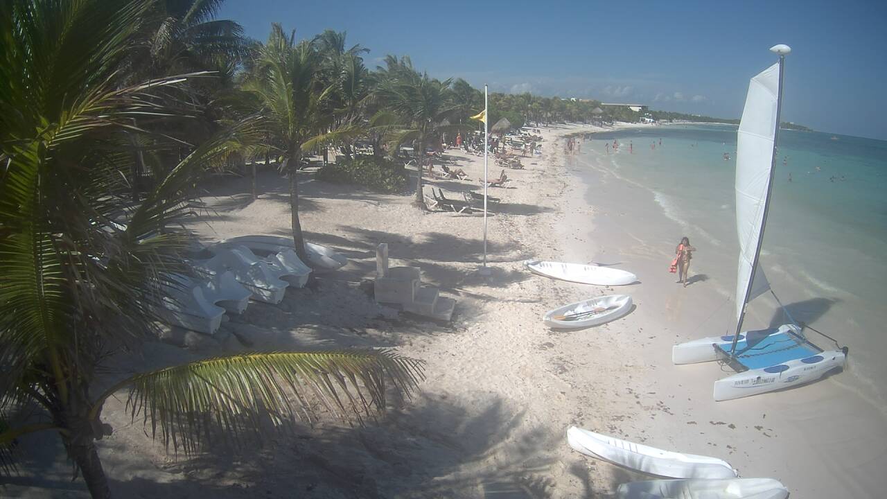 Algas en las playas de Riviera Maya (Sargazo) - Foro Riviera Maya y Caribe Mexicano