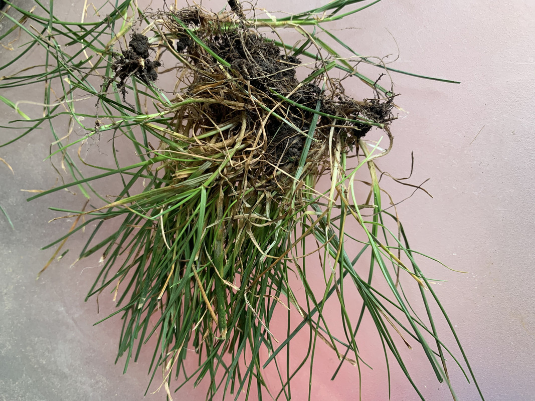 BF0F33EE-13C9-499A-B3E0-92DF28CD7EAA