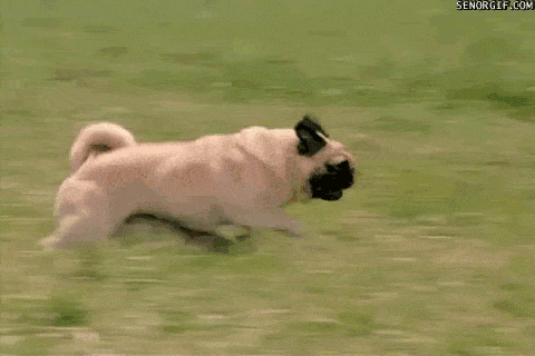 main-qimg-e8fe0951d1ebf513850d299bf3a38453.gif