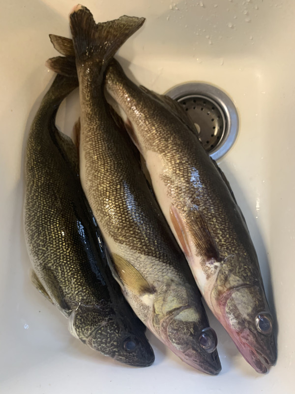 C9DF2E57-918F-44EE-92EE-79F225A5E2D8