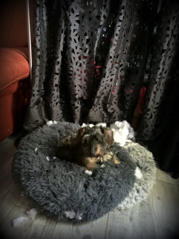 [Image: IMG-2240.jpg]