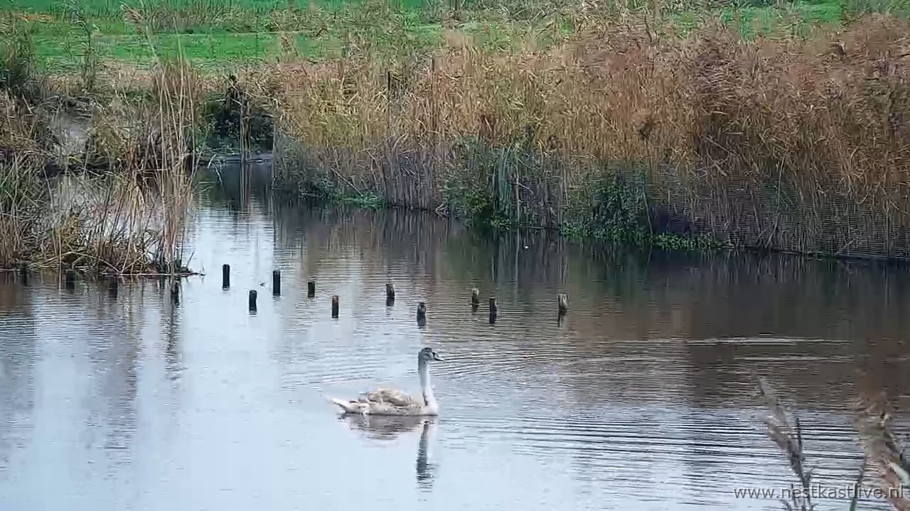 snapshot 2025 11 16T104041 976