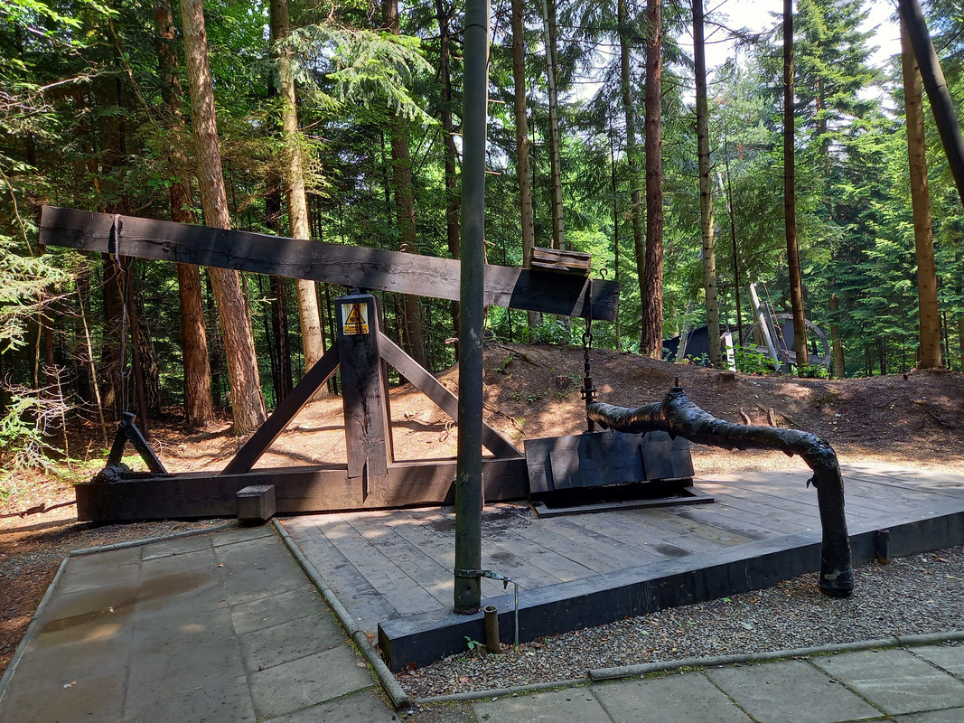 04.11 - 20220617_111727 (TomaszL)