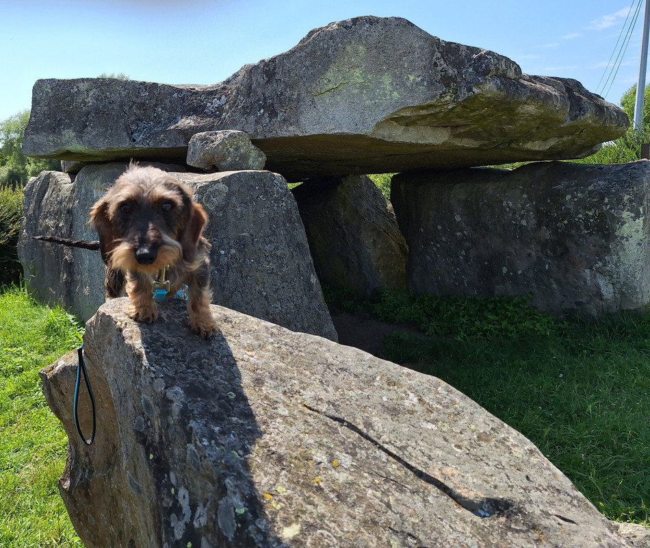 [Image: 20240714-155523.jpg]