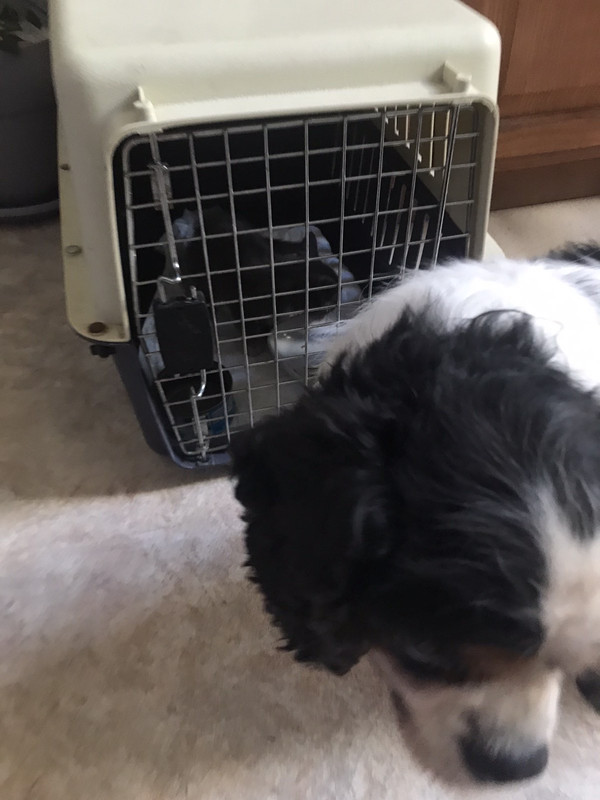 051B6A97-513A-44A5-9E66-D131866FAAB3