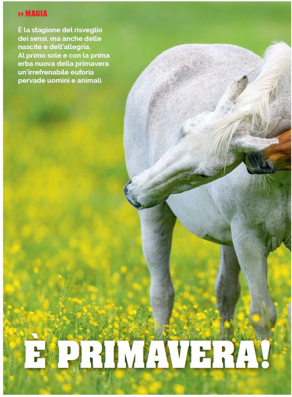 Il Mio Cav (Mar 2023) 1