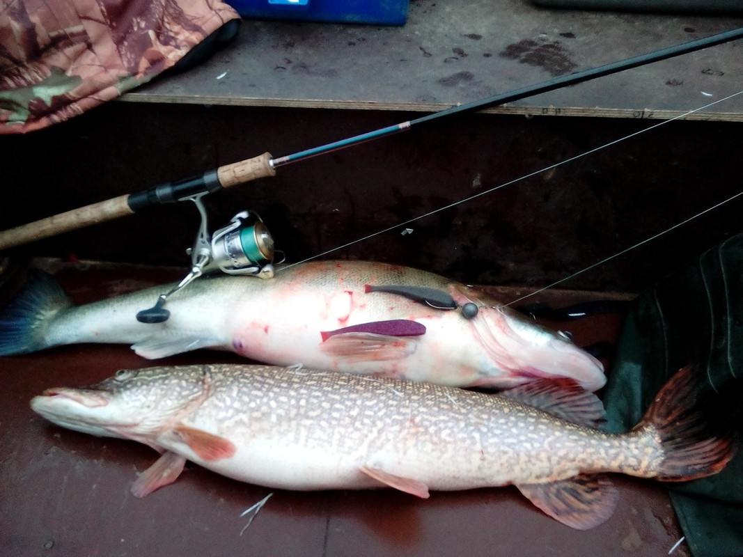 5 2 1 Мальханов Михаил отзыв джиг спиннинг рыбалка  блесна вобле