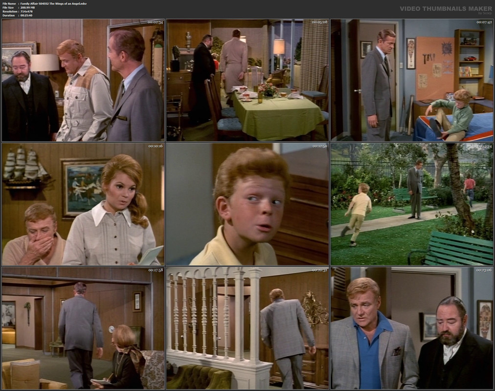 Family Affair S04E02 The Wings of an Angel.mkv
